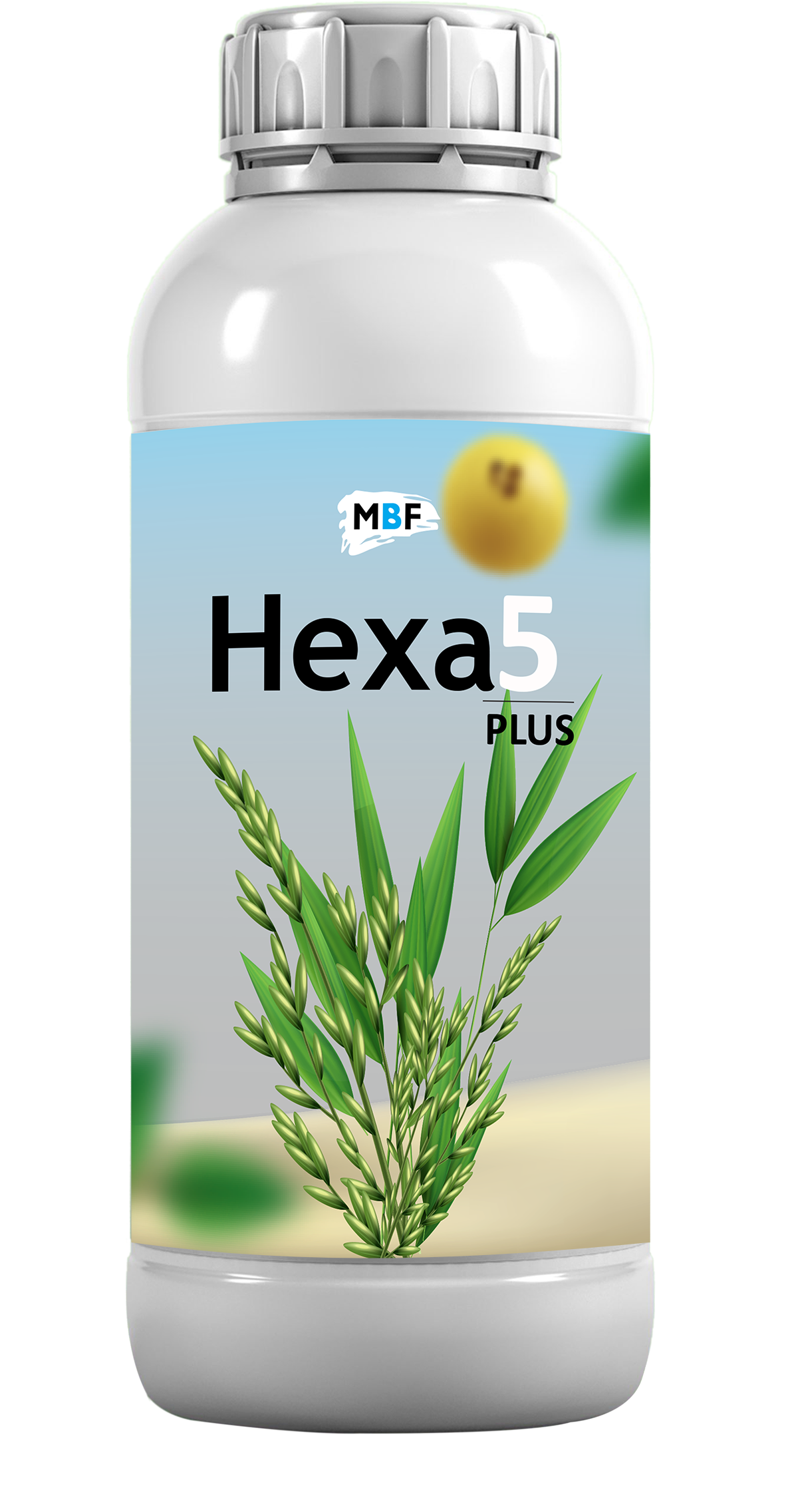 Hexa 5 Plus