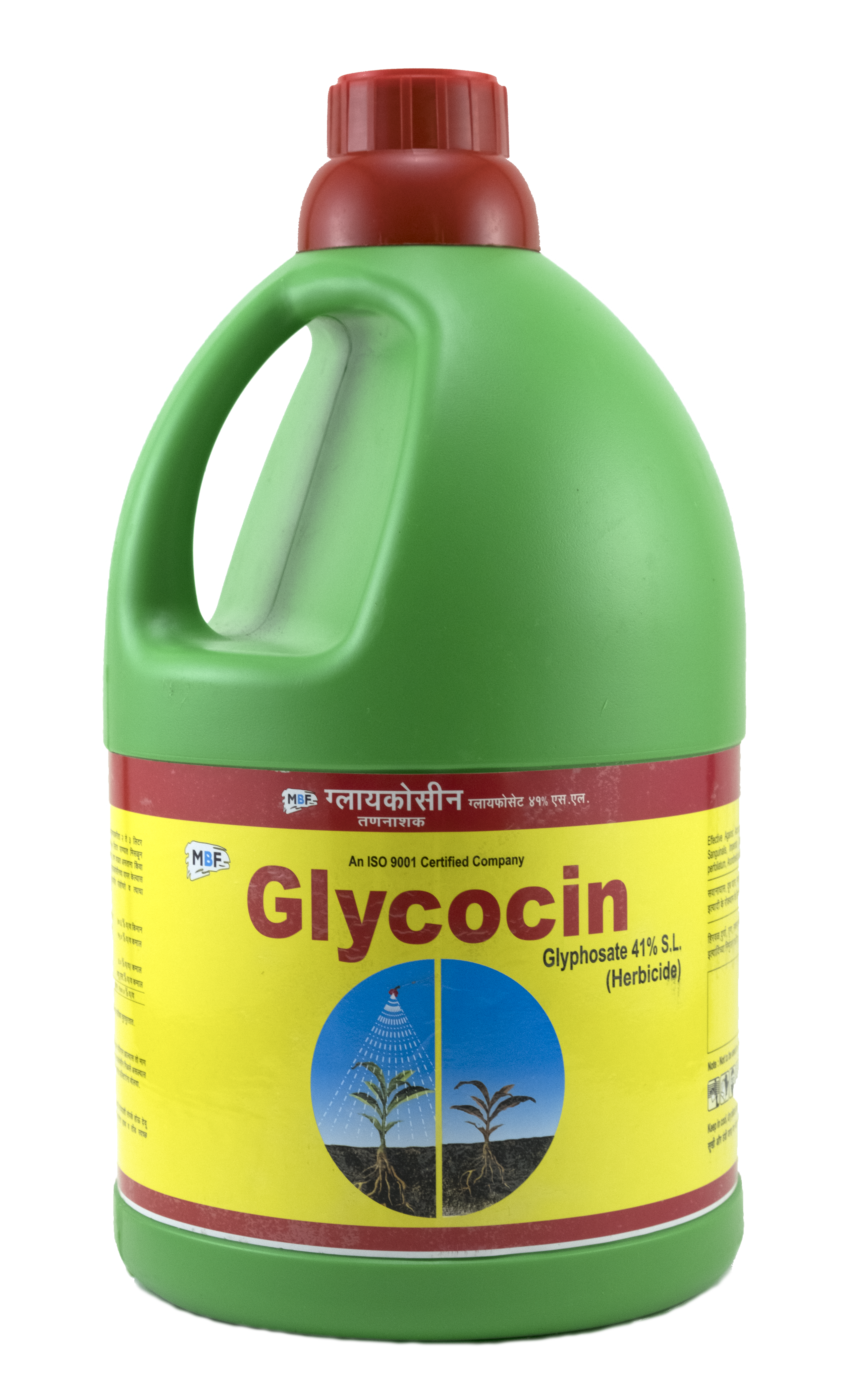 MBF Glycocin